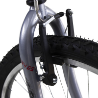 Bicicleta WOLF Montaña R24 18V. Hombre Frenos ”V” Acero Gris/Gris Azulado Talla:UN