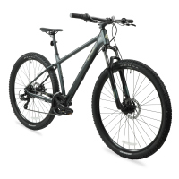 Bicicleta BERGAMONT Montaña REVOX 2 R29 3x7 Hombre FS Shimano Frenos Doble Disco Mecánico Aluminio Gris Talla:LL (286835-161)