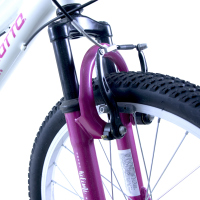 Bicicleta BENOTTO Montaña KILIMI R20 6V. Niña Frenos ”V” Aluminio Blanco Aperlado/Rosa Aperlado Talla:UN
