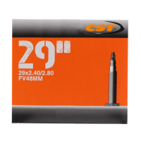Camara CST 29X2.40/2.80 V.F. 48mm